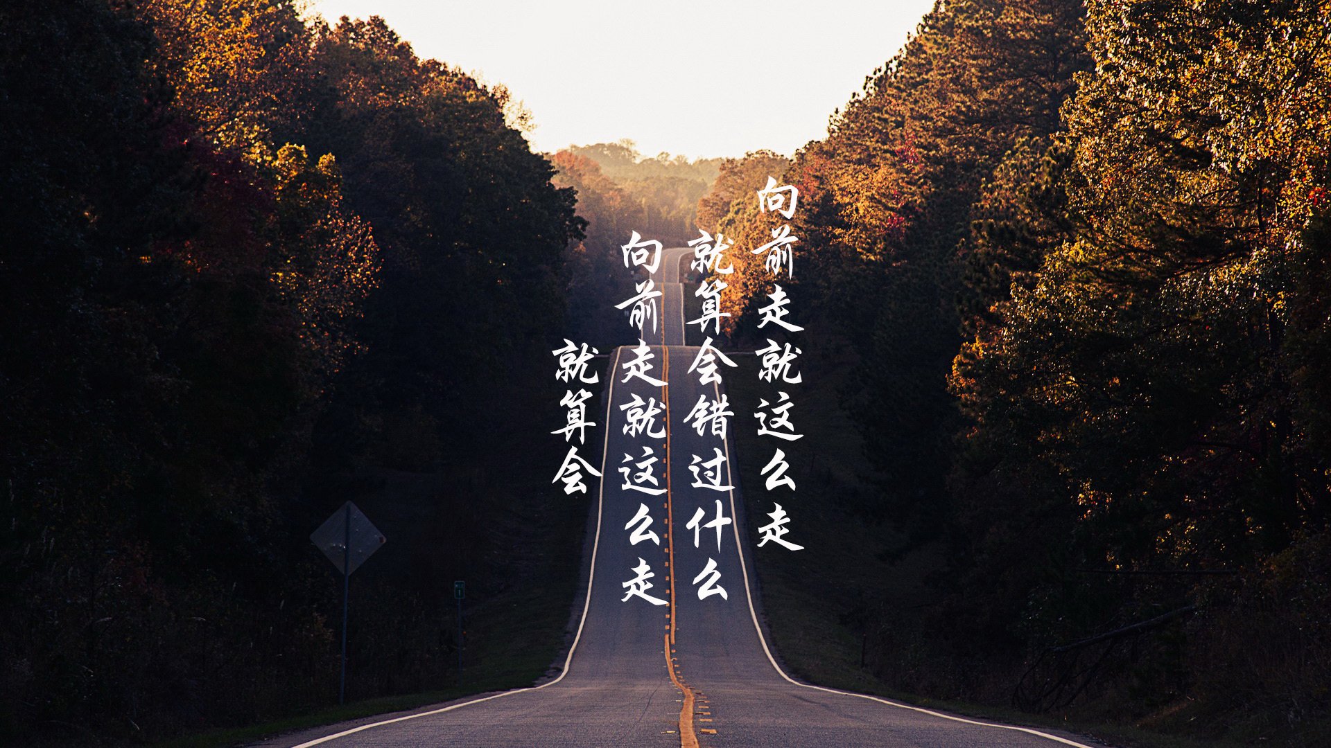 体育赛事观众行为特征及管理策略，请说出观看体育赛事的几个基本礼仪