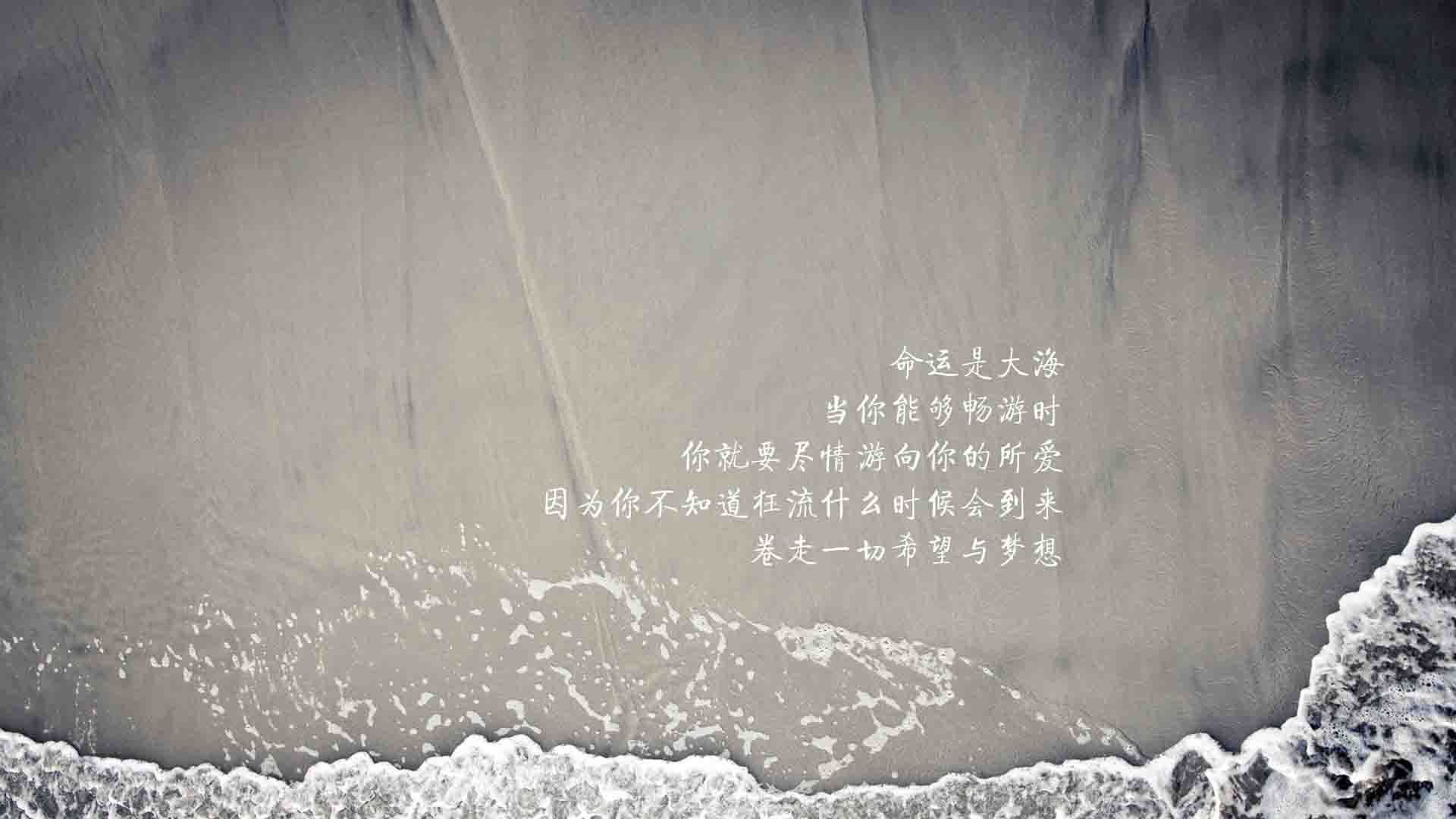国际羽毛球大奖赛中国队包揽全部金牌，国际羽毛球联赛