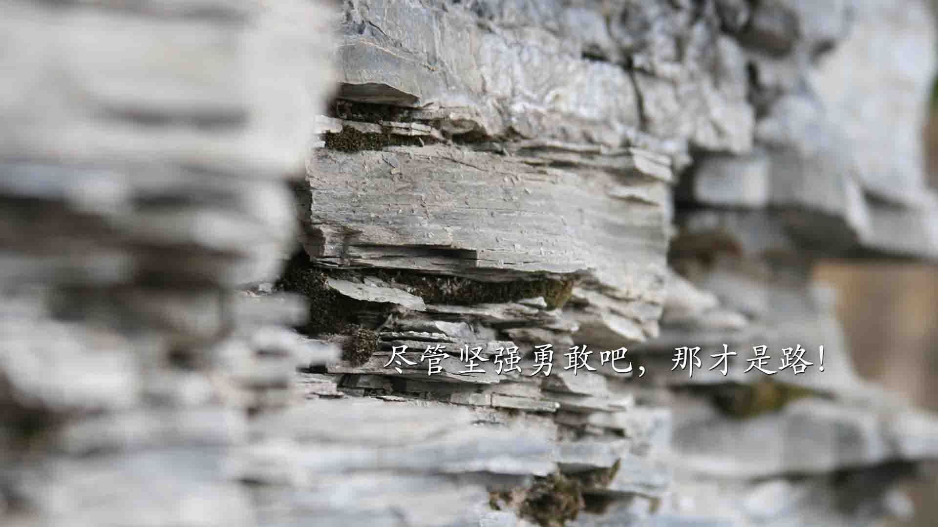 法甲球员视觉追踪训练促进战术执行精准度研究