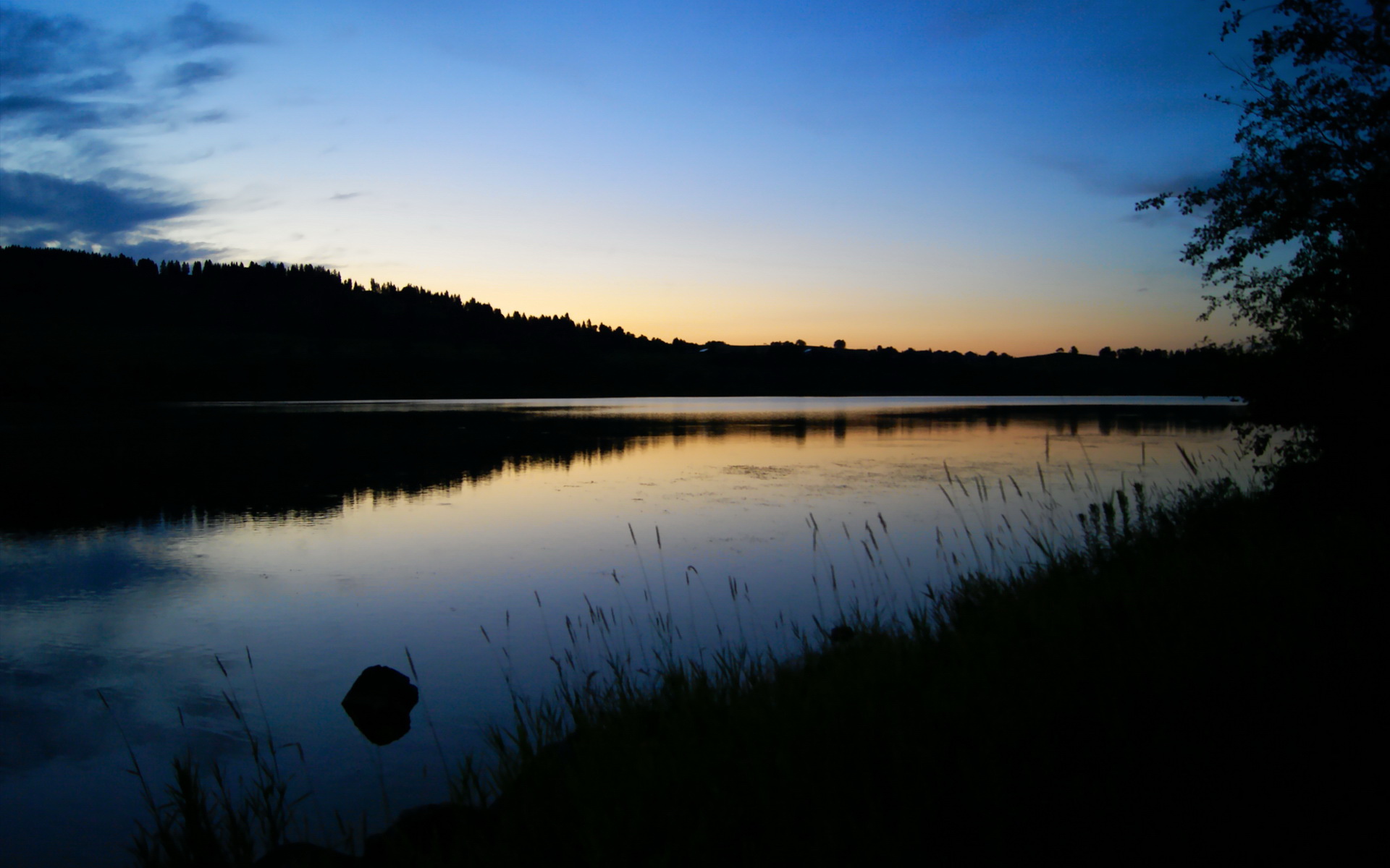 五大联赛是否存在数据分析无法解释的决策取舍，五大联赛数据统计