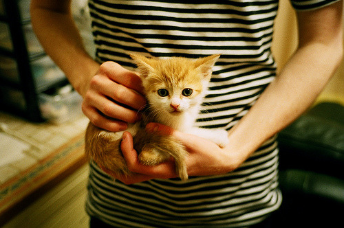 电竞亚洲杯中国队小组出线,亚洲电竞联合会