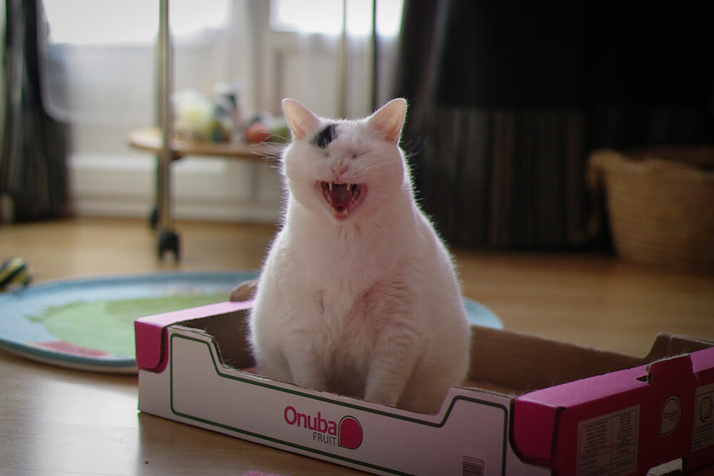 2026世界杯赛场内外全面升级,智能化设施成亮点,2026年世界杯参赛队伍