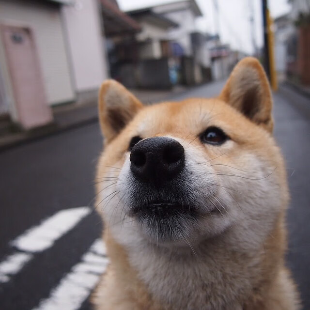 九游网游官网-凯尔·查默斯技术动作精准完美，查尔斯&amp;凯斯
