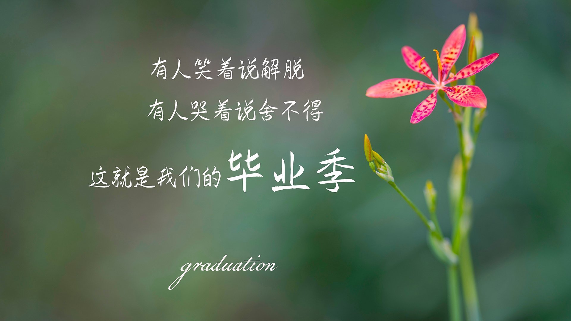 凯莉·麦基翁赛后透露备战细节，凯莉·麦吉莉丝