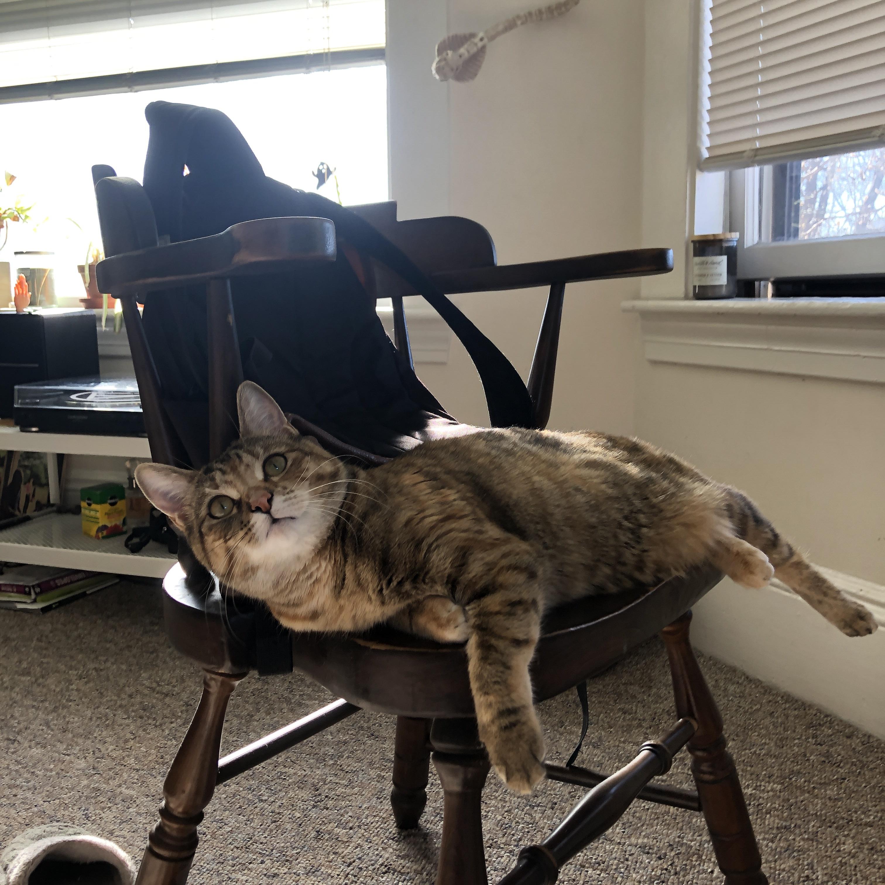 九游(jiuyou)官方网站-唐纳德·高尔凭借突破能力带领袋鼠队化解对手压力，唐纳德高斯简介