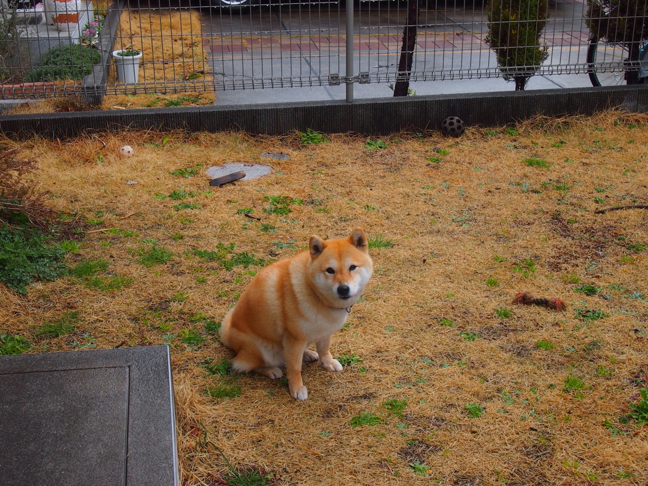 九游官网下载电脑版-曼联在关键比赛中取胜，积分追赶榜首