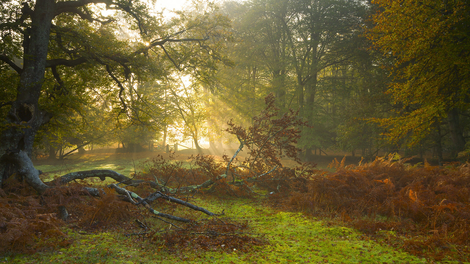 热火夏训网友称能吃好也能打好，热火夏季联赛赛程