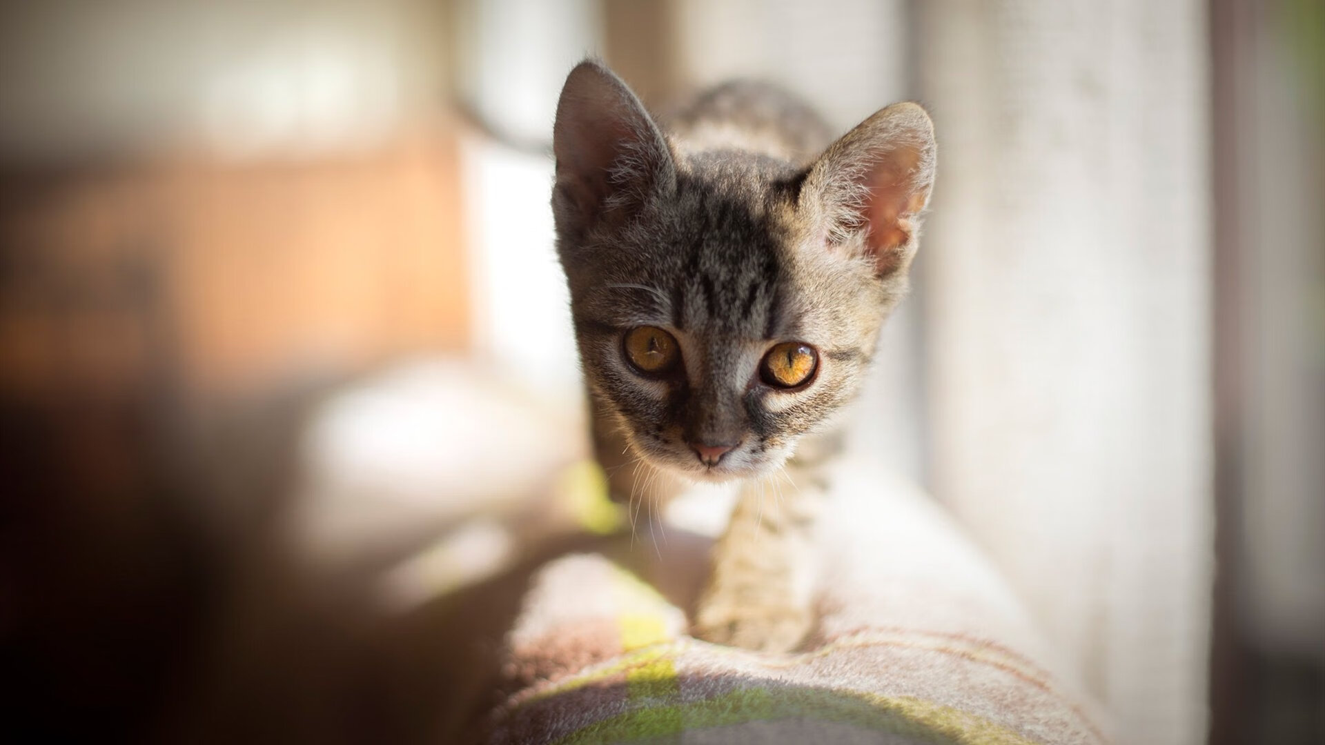 王楚钦比赛后透露身体恢复良好,王楚钦技术怎么样