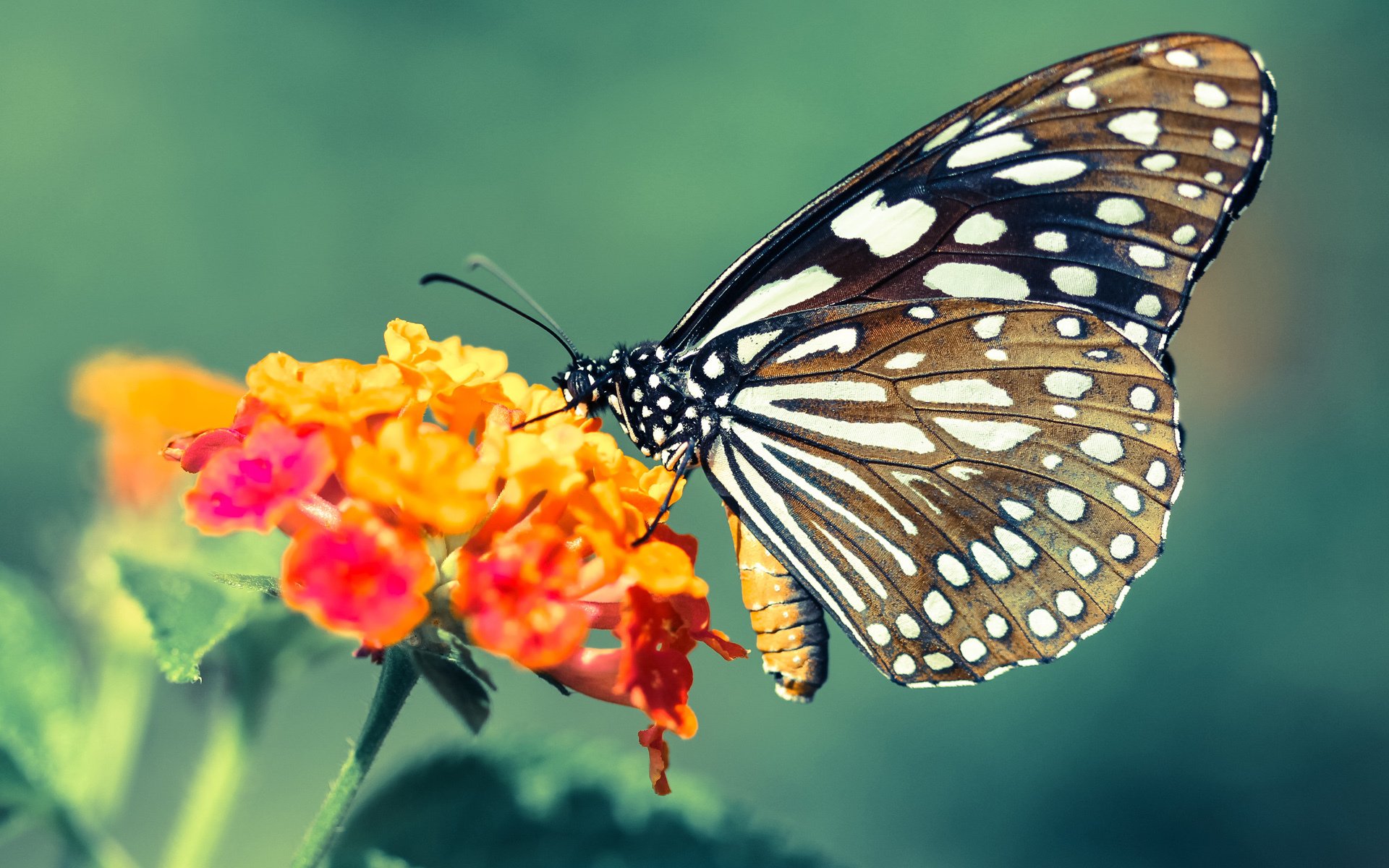 九游官网下载电脑版-职业联赛增加球员场外行为管理指导推动职业规范
