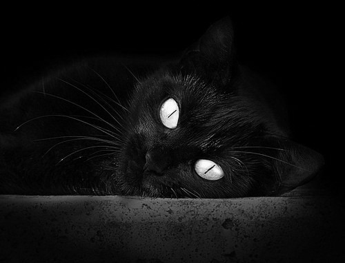 Jiuyou-足球赛事志愿者招募火热进行中，体验赛场幕后，足球比赛志愿者需要干什么